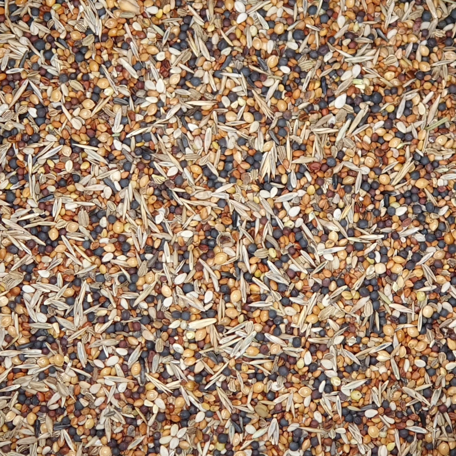 Gladen - Unkrautsamen - Taubenfutter - 2,5kg 1 Gladen - Unkrautsamen - Taubenfutter - 2,5kg