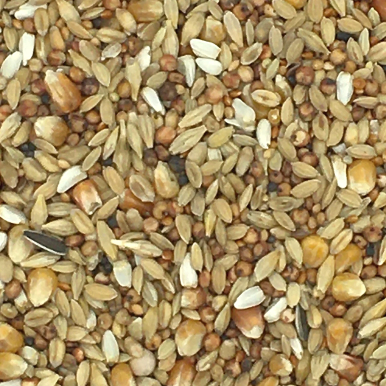 Vanrobaeys Nr.231 Olympia Complete Light 20kg + 10% Gratis 1 Vanrobaeys Nr.231 Olympia Complete Light 20kg + 10% Gratis