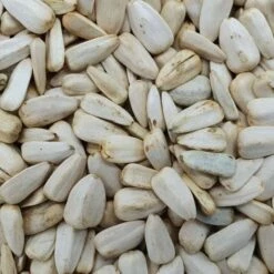 Sonnenblumenkerne Weiß - Gladen 2,5kg