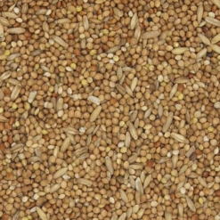 VERSELE-LAGA Versele Wellensittiche Prestige 4kg